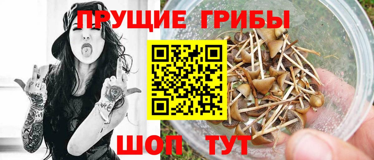 Псилоцибиновые грибы мицелий Кострома