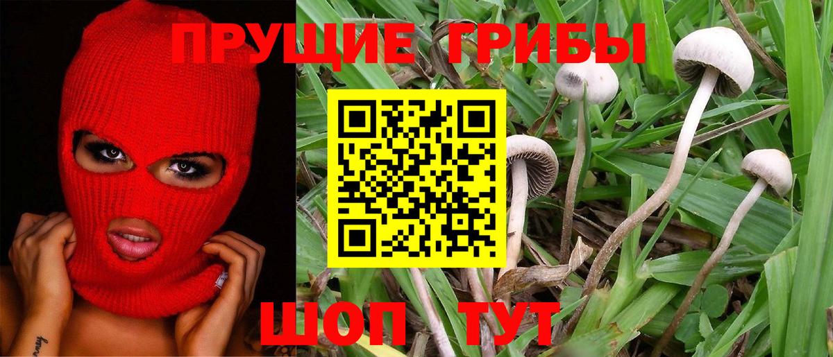 Галлюциногенные грибы ЛСД  Вход с VPN  Кострома 